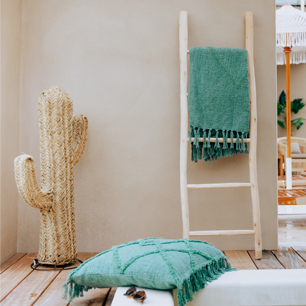 cactus en jonc et échelle en bois